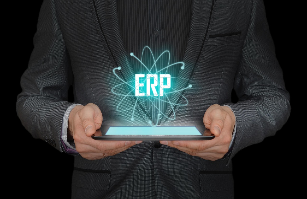Custom ERP Module